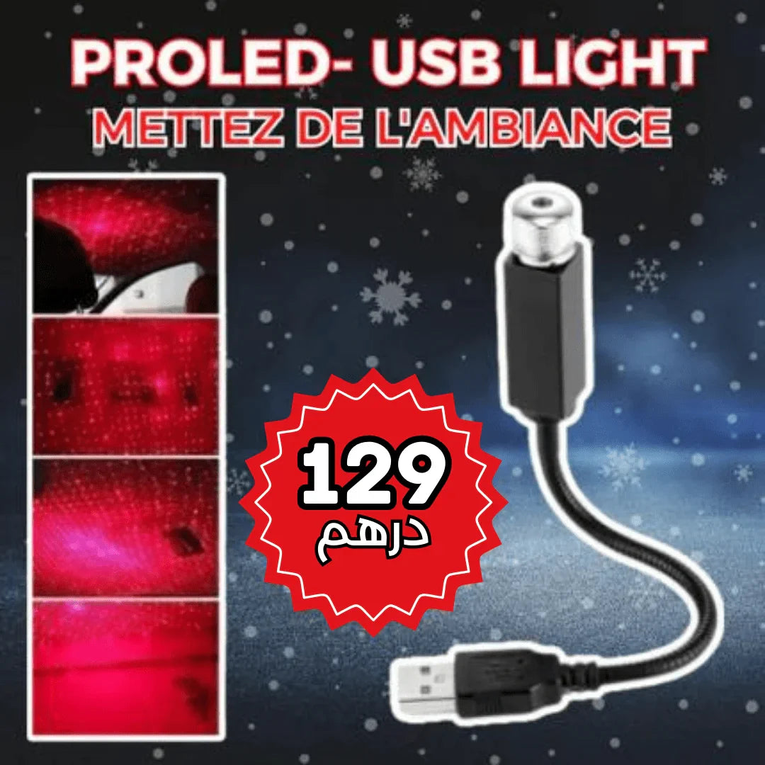 PROLED- USB Light -AK