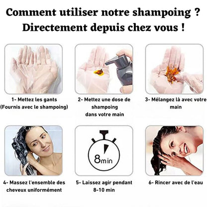 ✨ Disaar – Shampoing à l'Huile d'Argan Marocain ✨